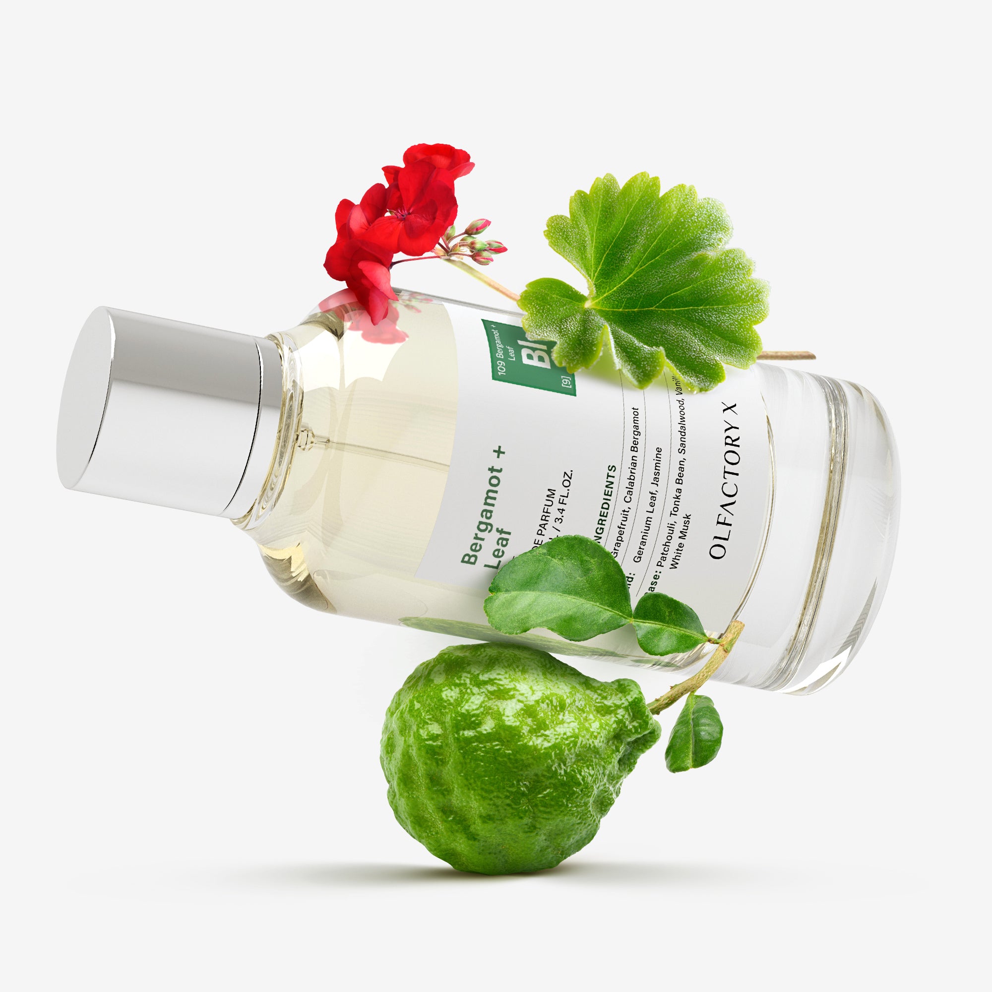 Bergamot + Leaf