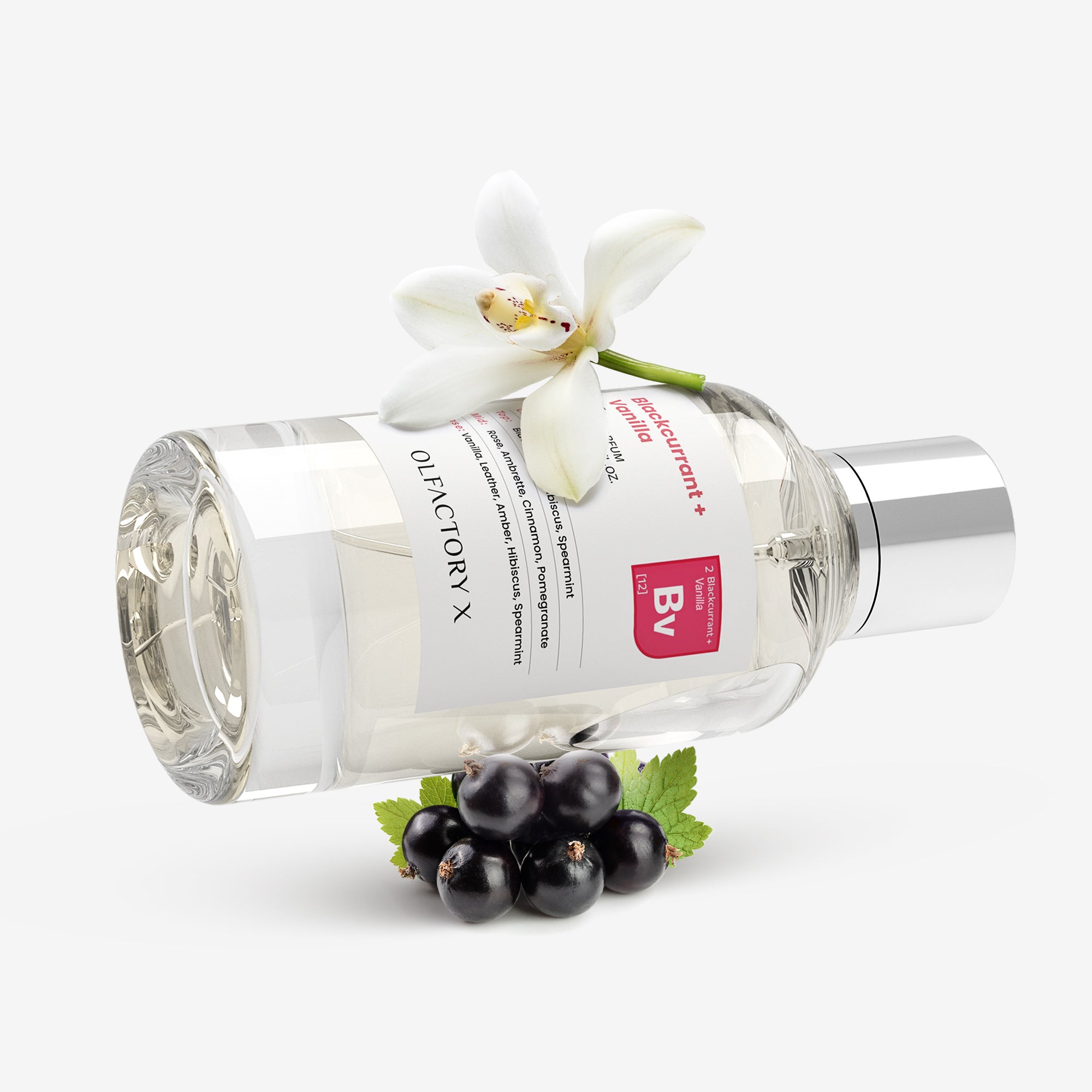 Blackcurrant + Vanilla