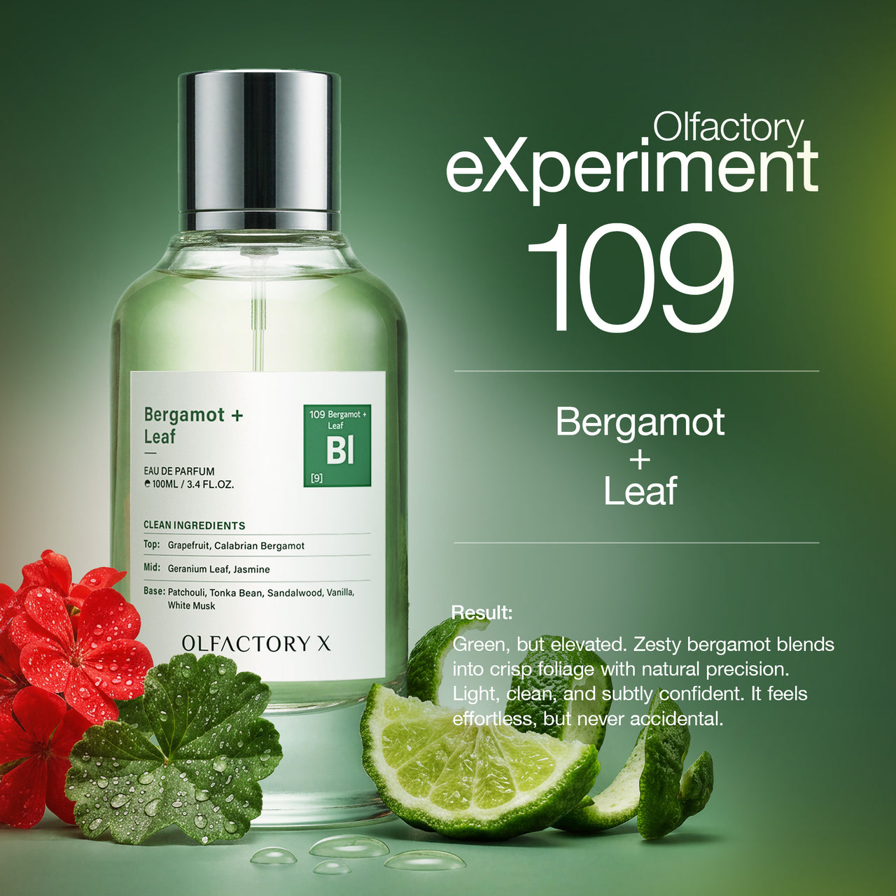 Bergamot + Leaf