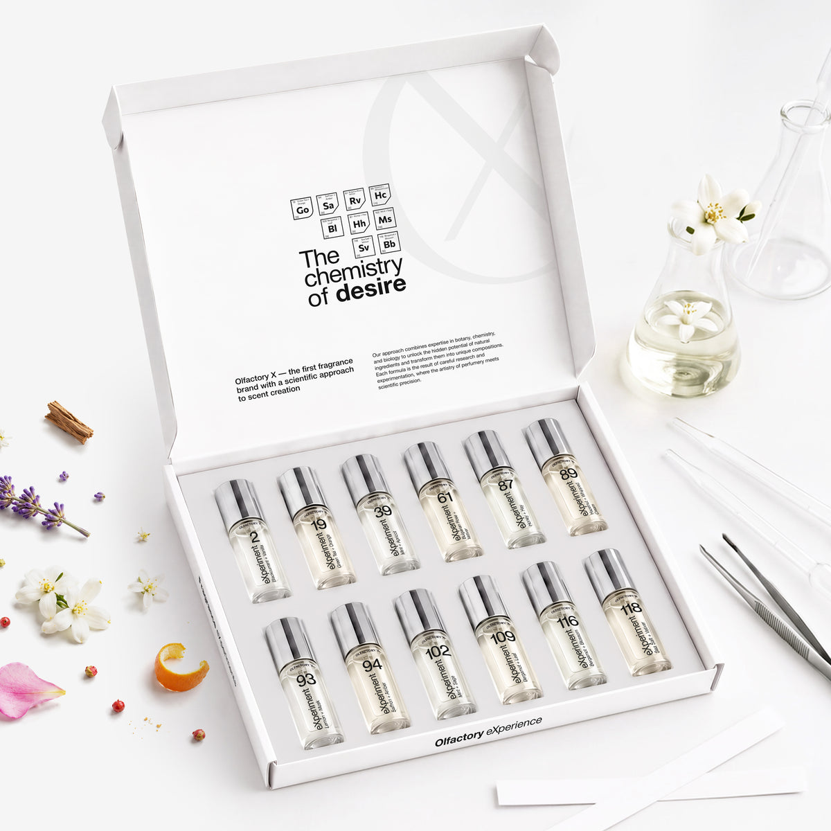 12 Piece Discovery Set - Olfactory X