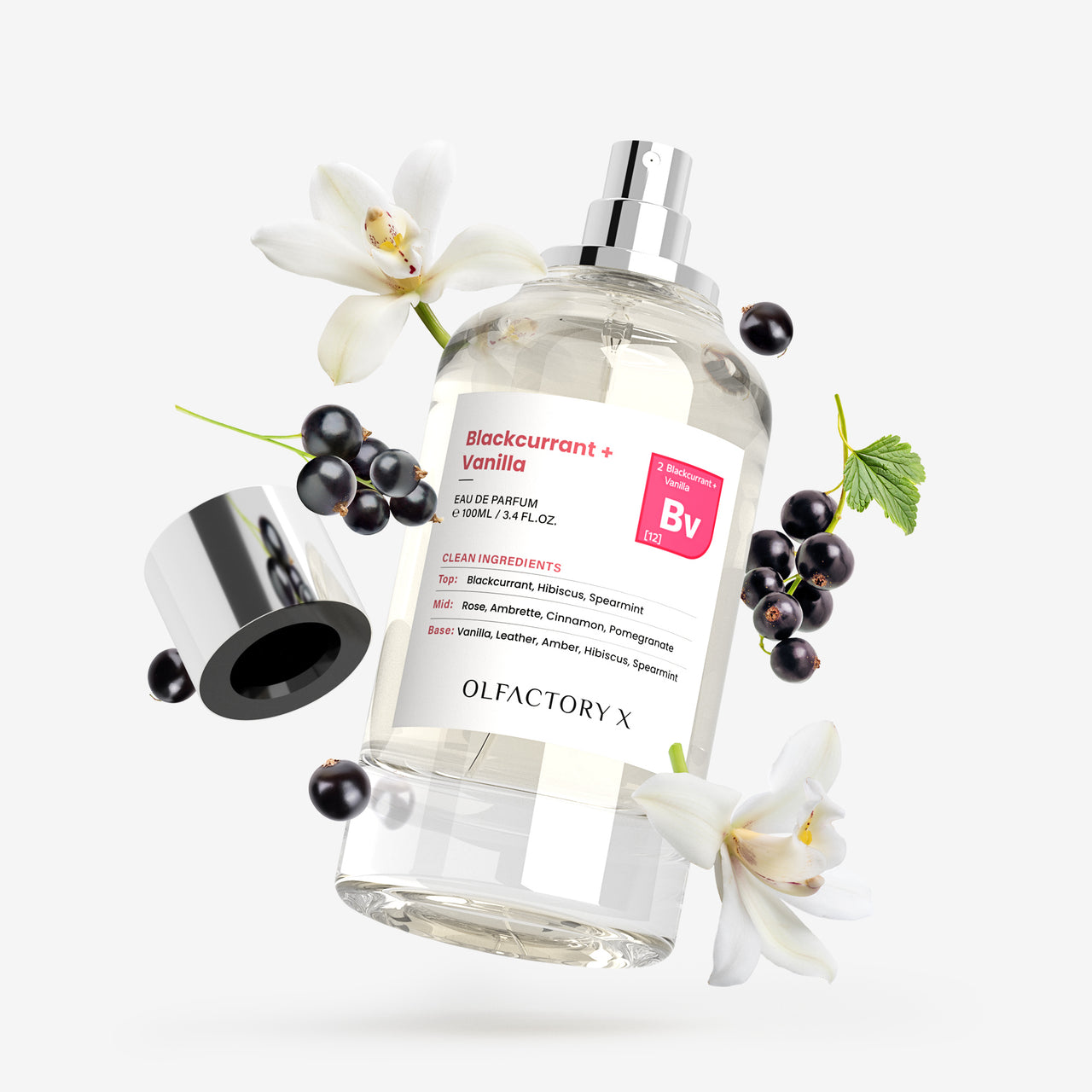 Blackcurrant + Vanilla