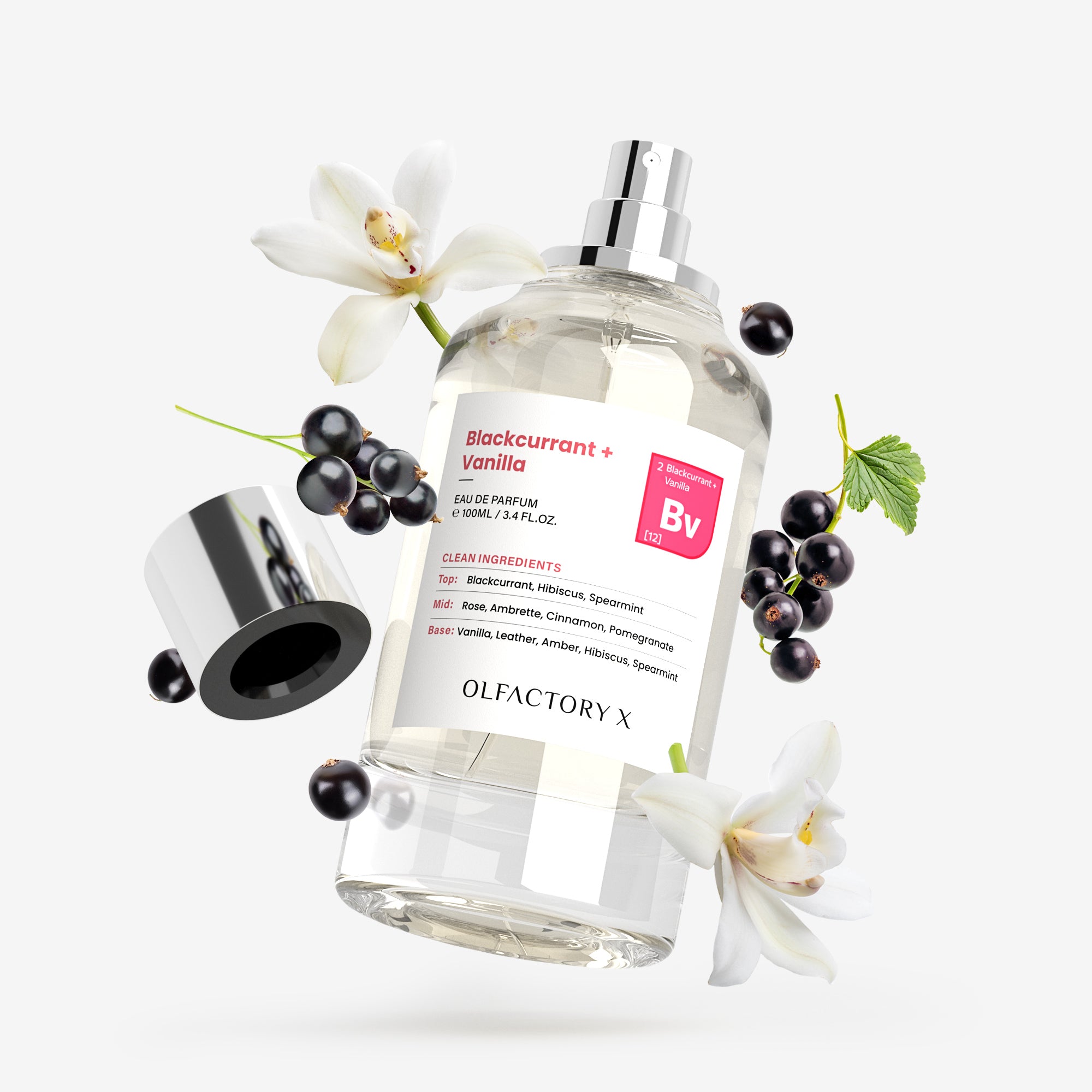 Blackcurrant + Vanilla