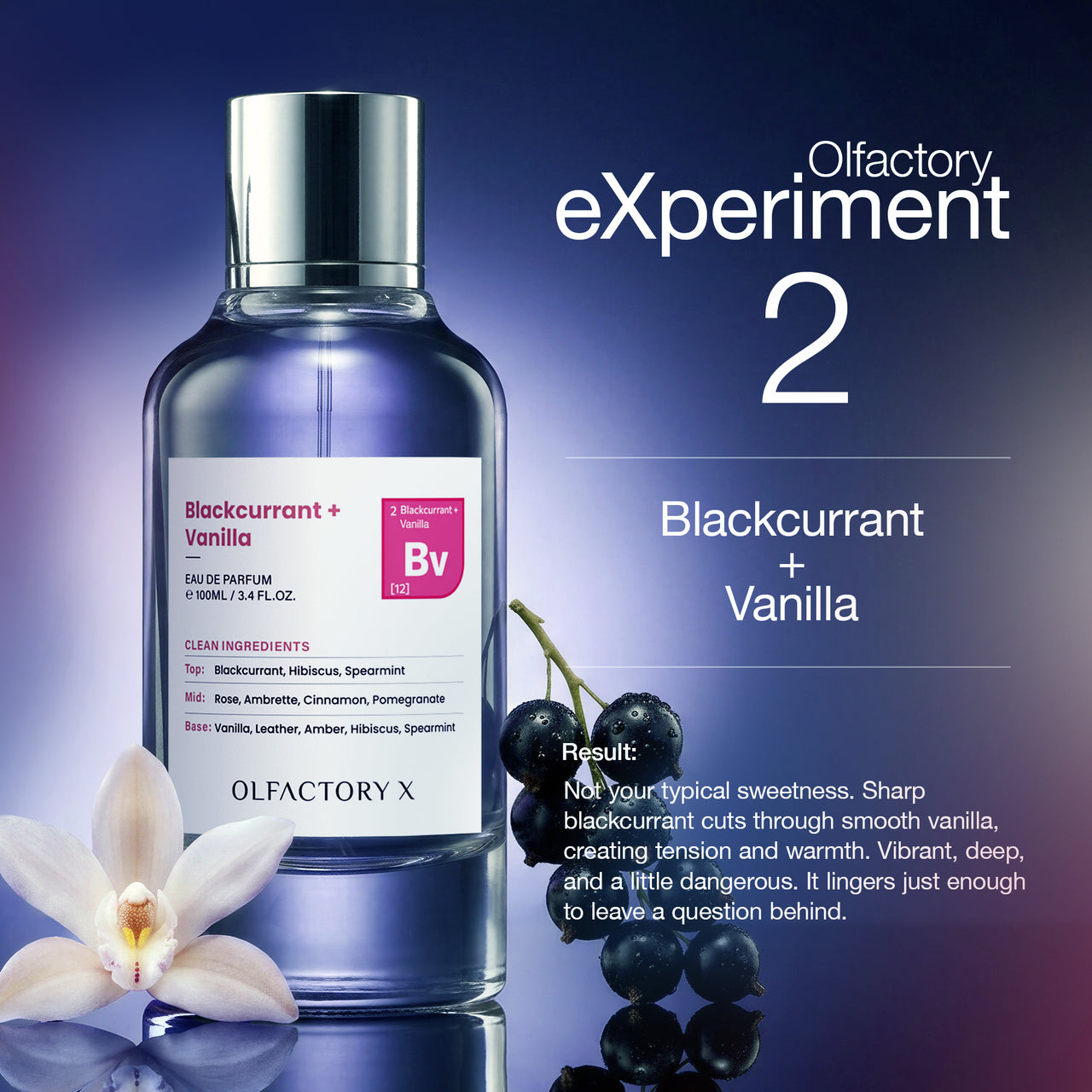 Blackcurrant + Vanilla
