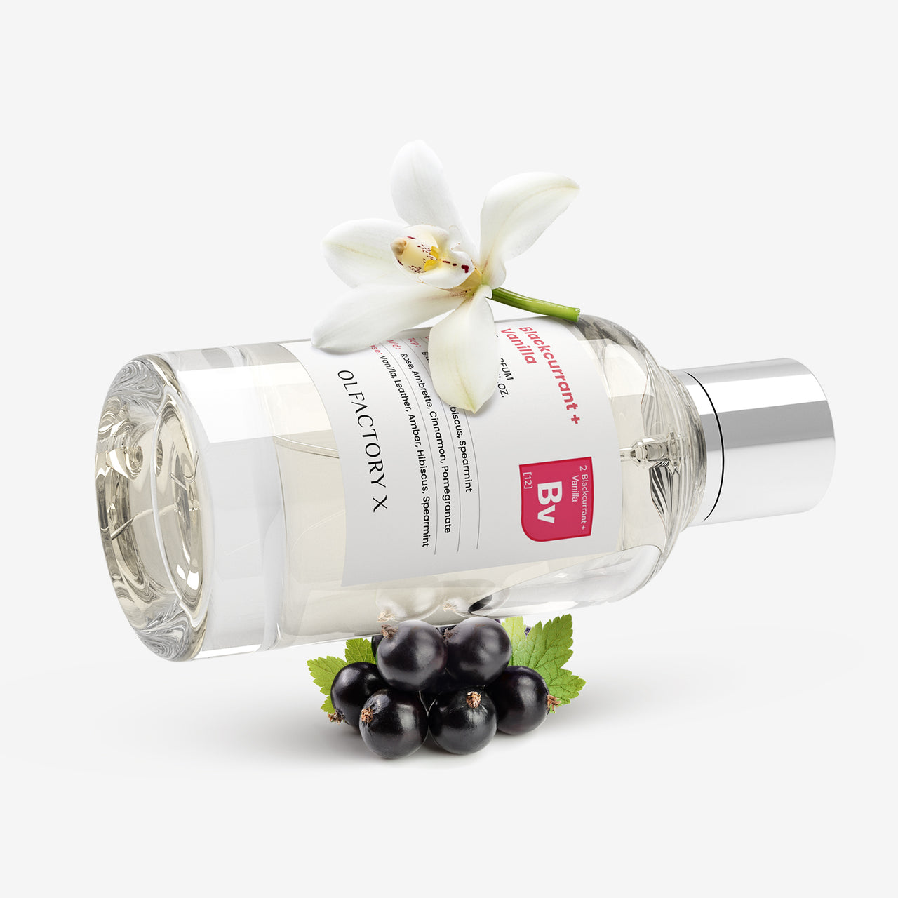 Blackcurrant + Vanilla