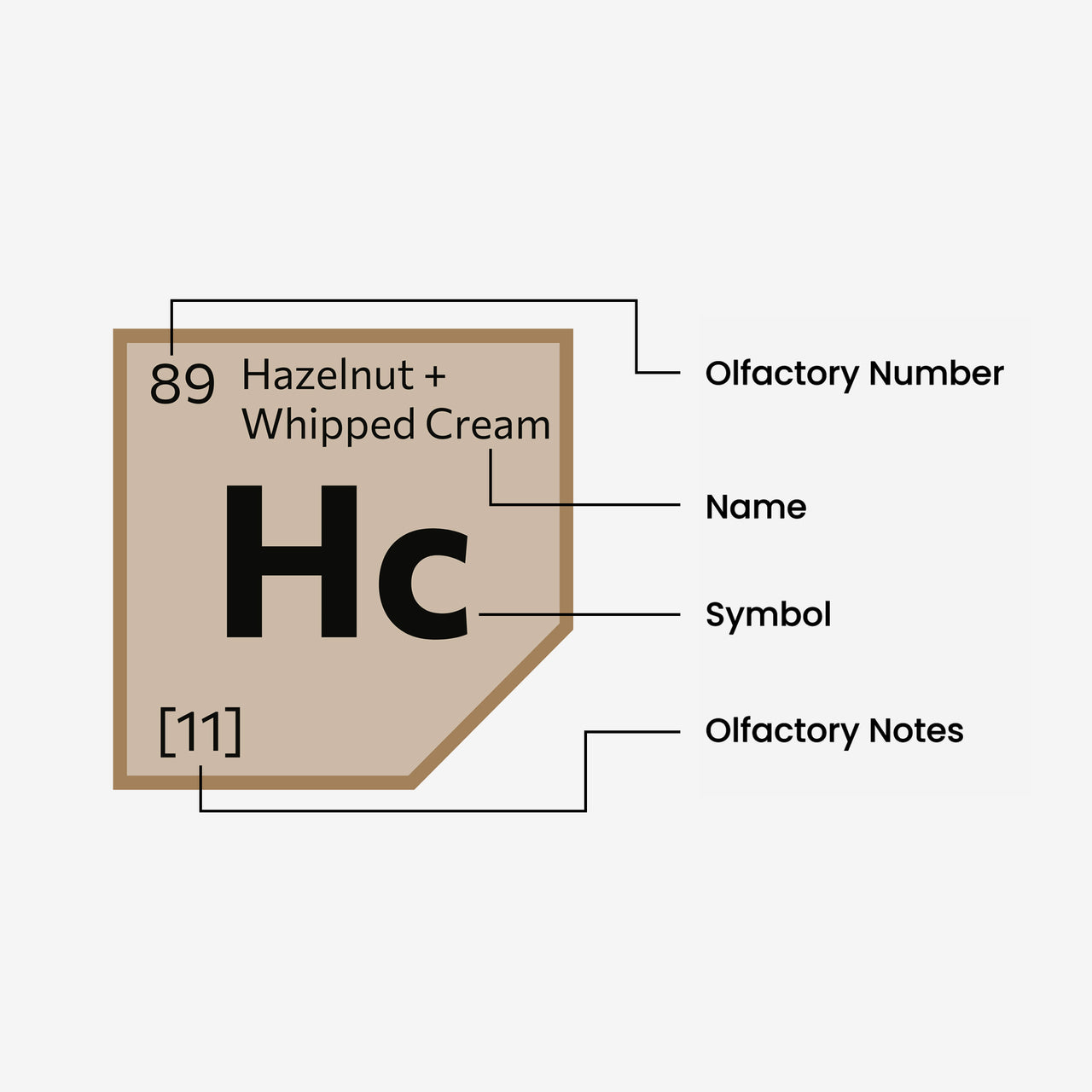 Hazelnut + Whipped Cream
