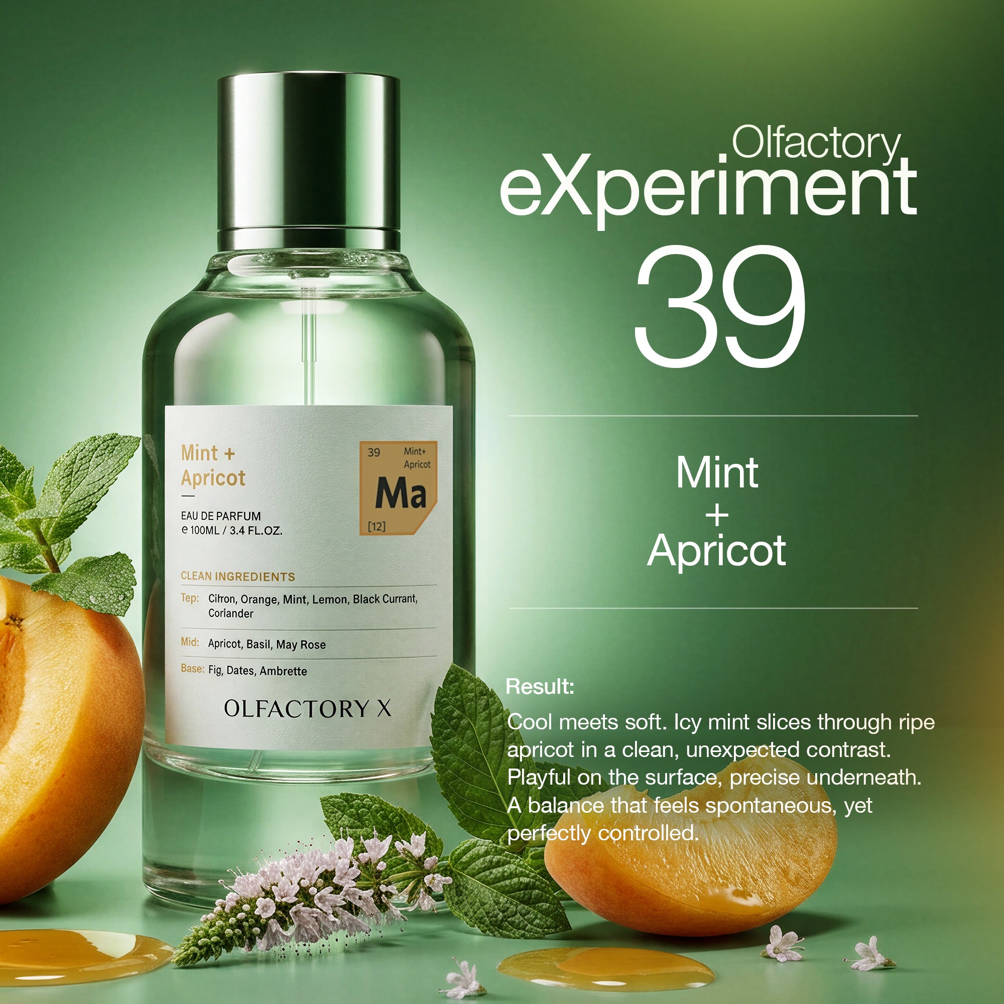 Citrus – Olfactory X