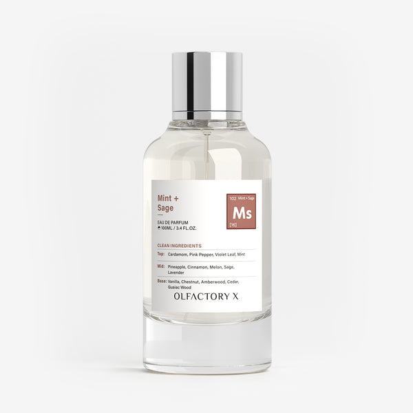 Mint + Sage – Olfactory X