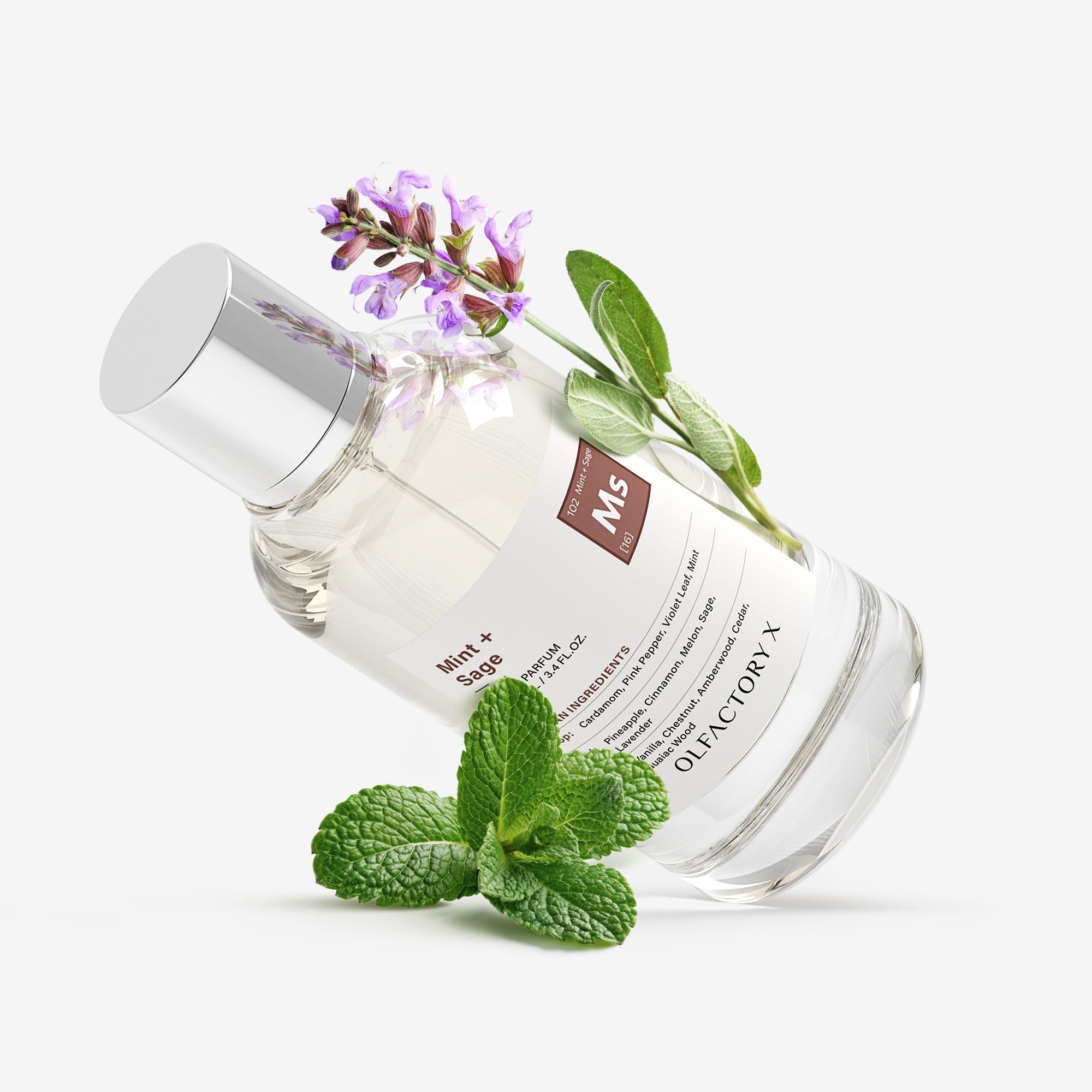Mint + Sage
