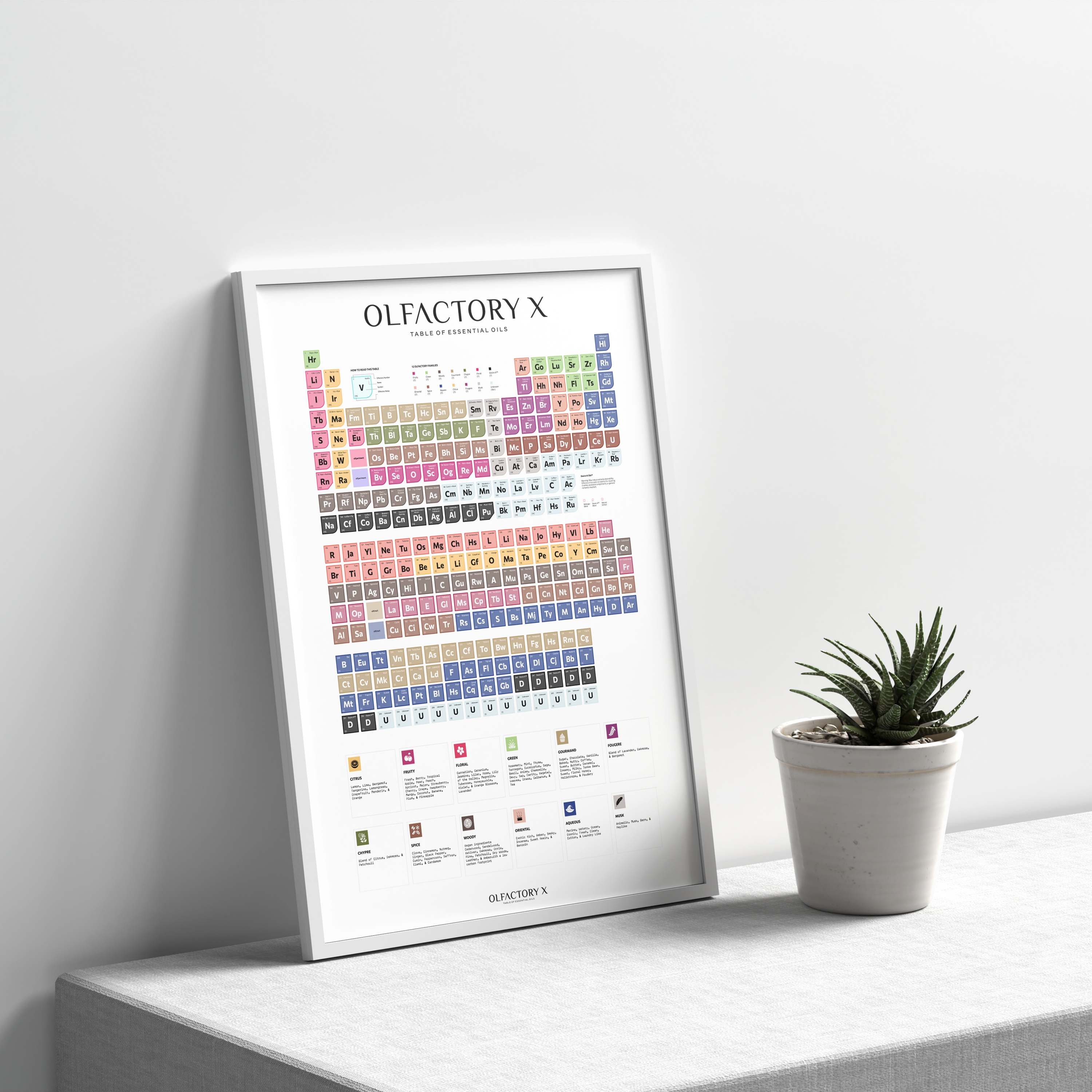 Framed 'Olfactory X' periodic table print on a white surface with a plant.