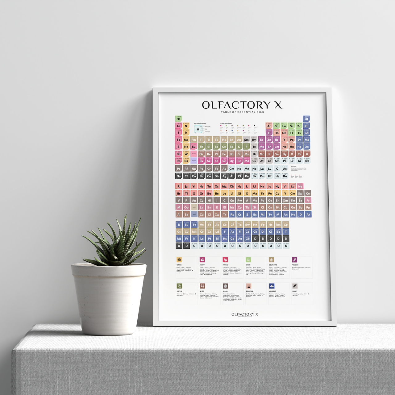 Framed 'Olfactory X' periodic table print on a white surface with a plant in the background