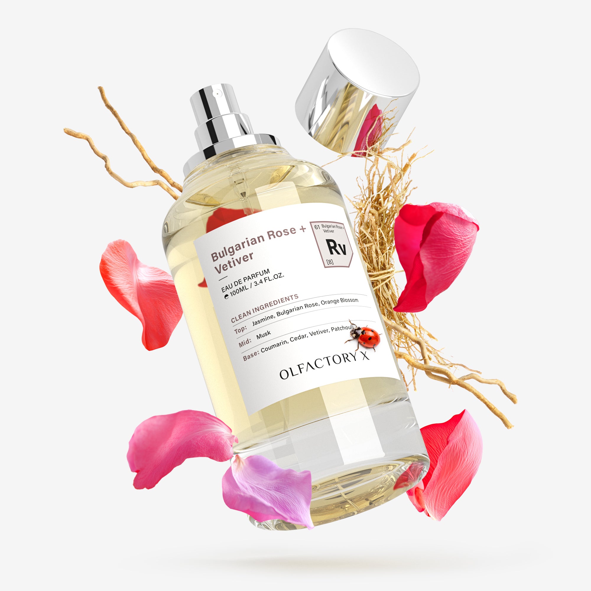 Bulgarian Rose + Vetiver – Olfactory X