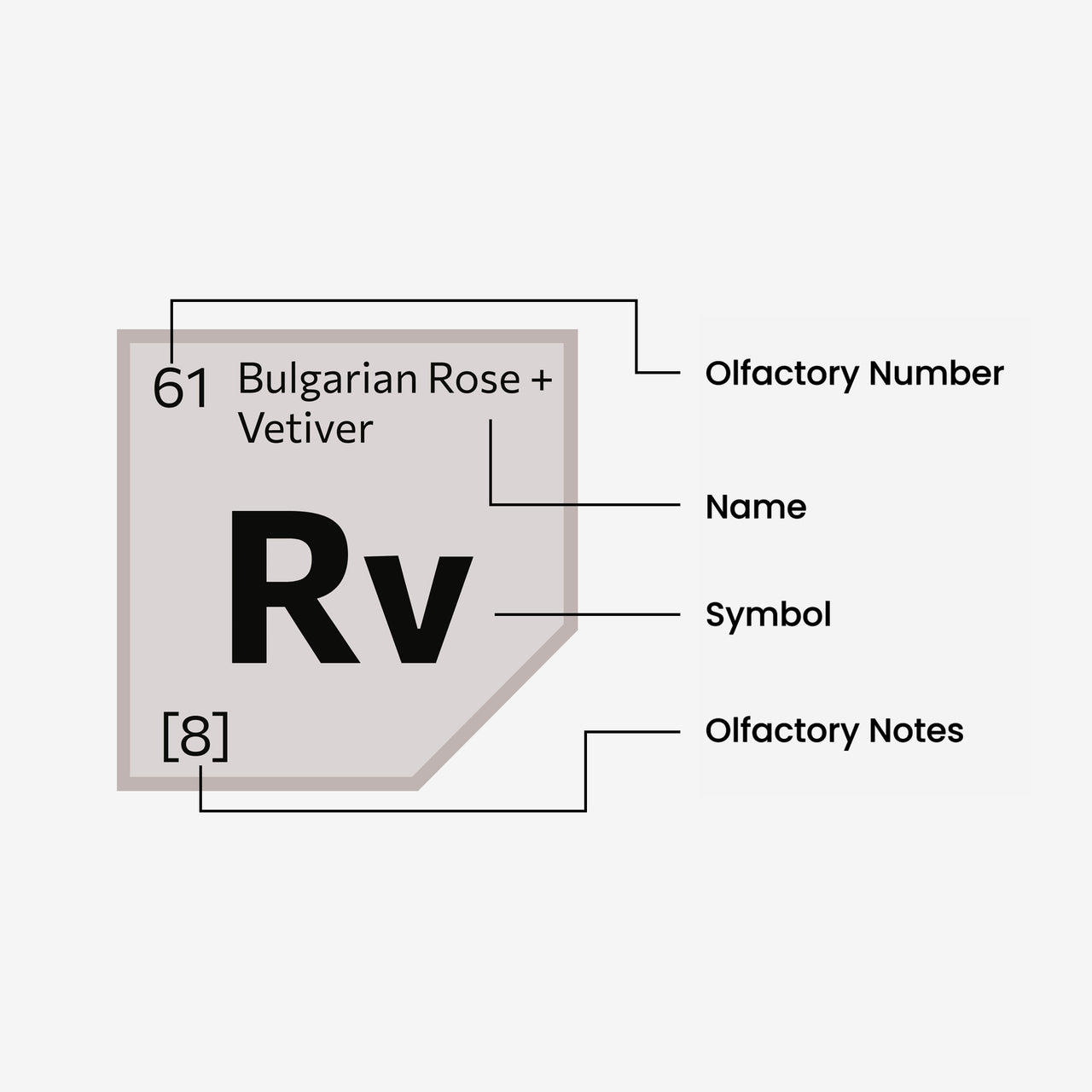 Bulgarian Rose + Vetiver