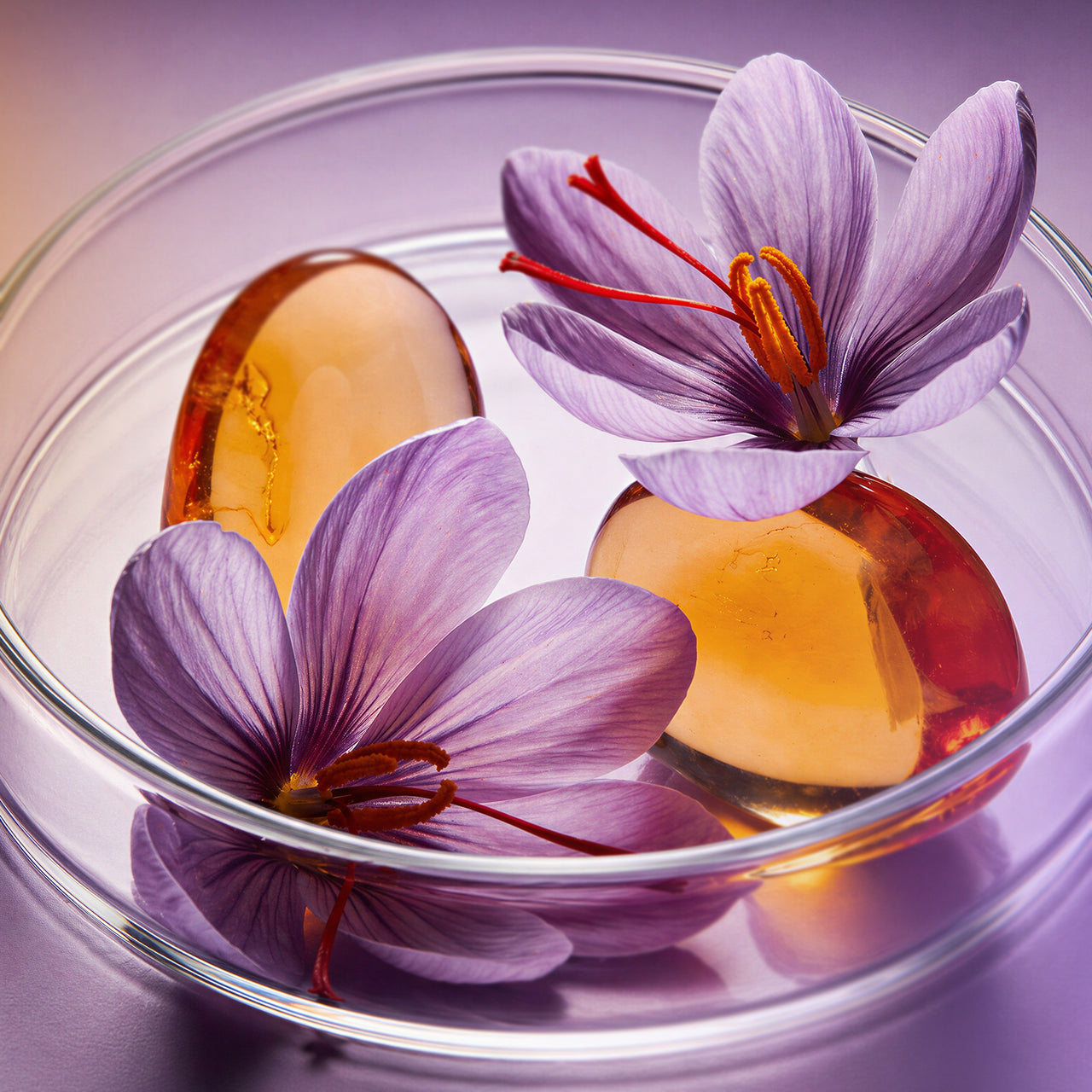 Saffron + Amber